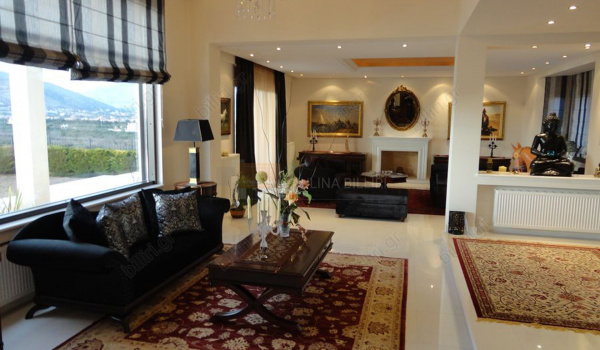 Σαλόνι - Living room